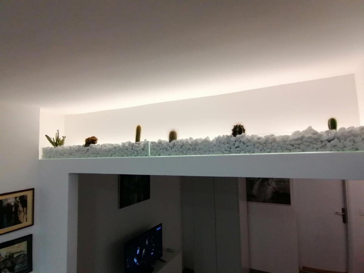 Apartman Dunja S Bělehrad Exteriér fotografie